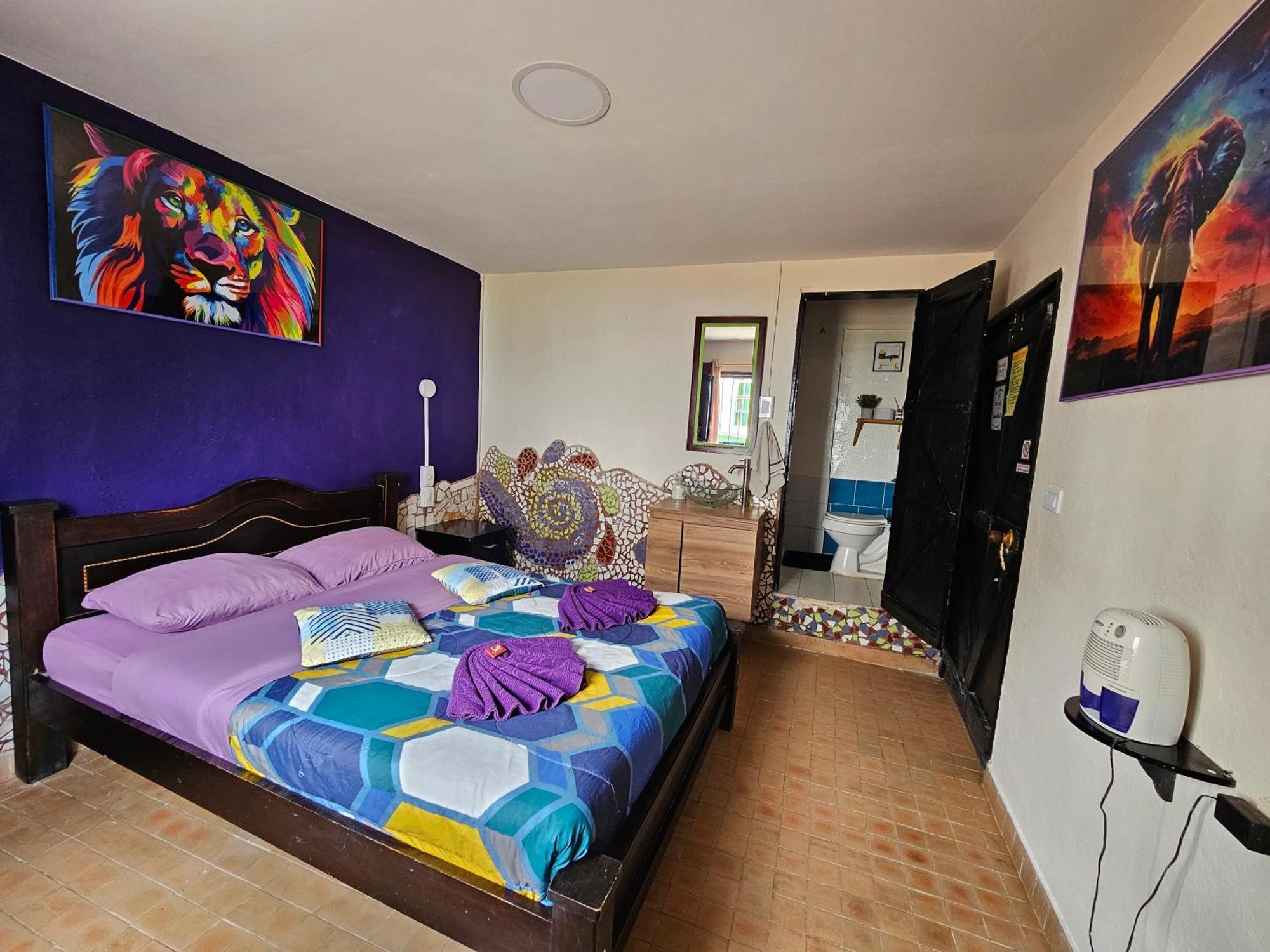 Hostal Bambu San Agustín Εξωτερικό φωτογραφία